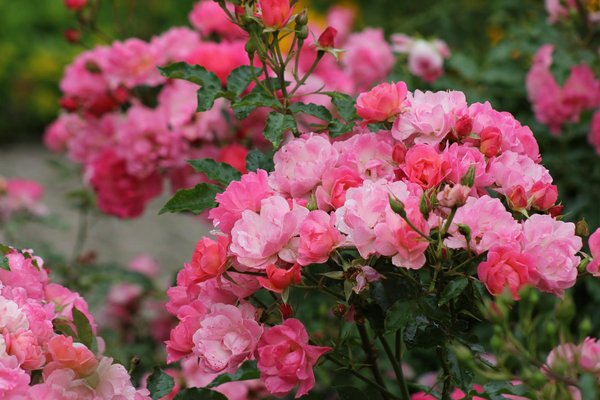 Idées de cadeaux humoristiques sur mesure pour chaque occasion