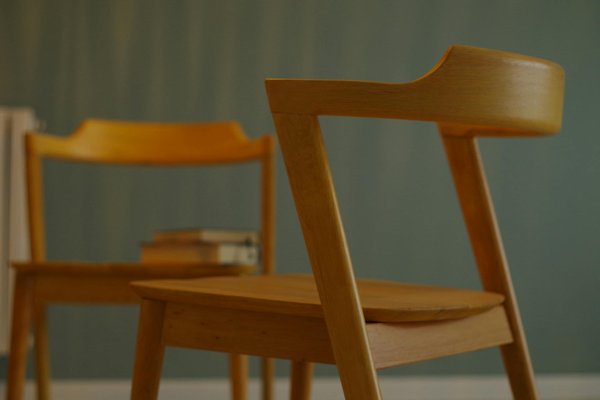 Créer un box d'écurie sur mesure : 5 conseils de sécurité essentiels