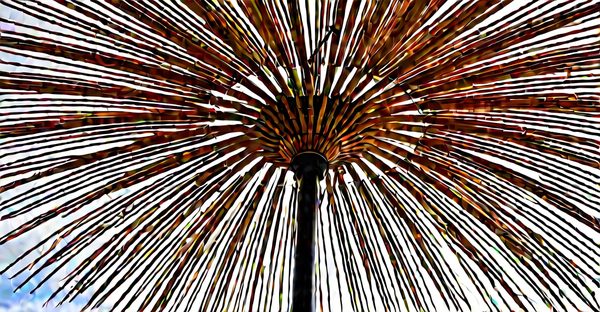 Ombrière coco : Élégance naturelle pour votre espace extérieur