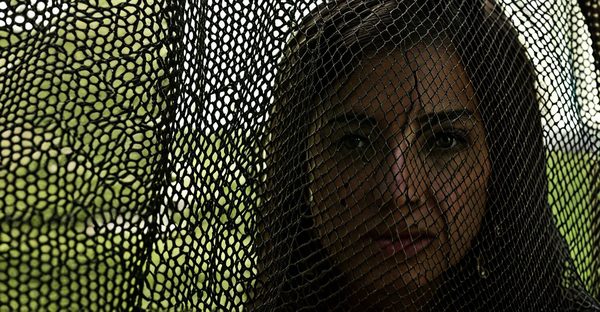 Optimisez votre confort avec la moustiquaire enroulable sur mesure